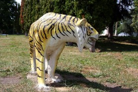 Тигр летом