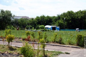 Бывший Никулинский сад, фото 2009 года.
