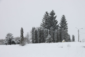 Пушкинский парк зимой.