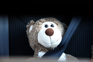 Медведь в детском автомобильном кресле.