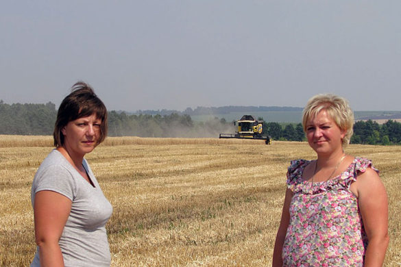 Уборка урожая зерновых в Дубовицком.