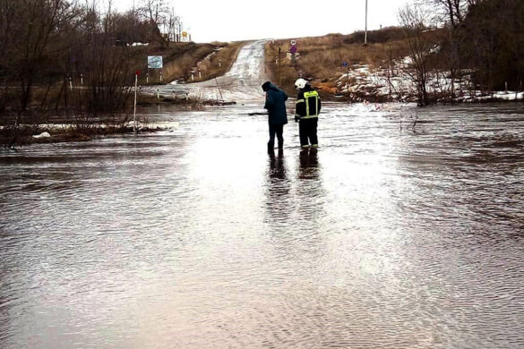 Подтопление моста через реку Сосна. 2022 г.